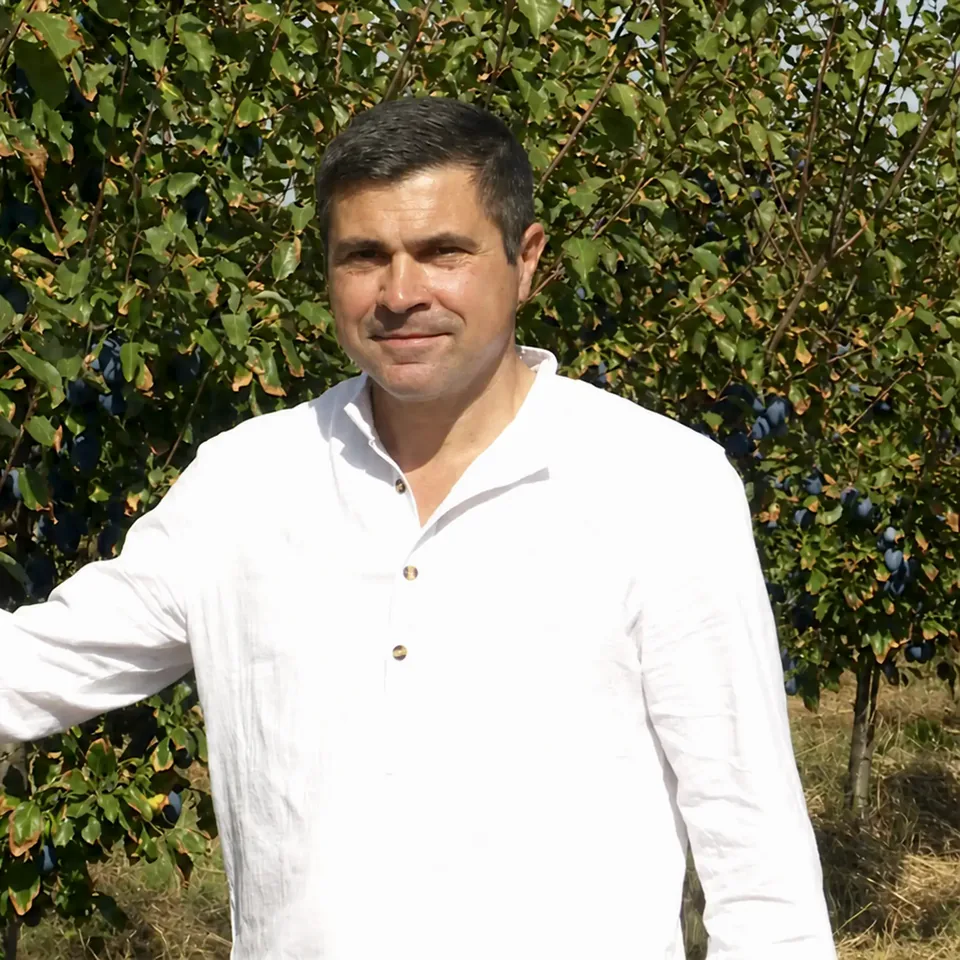 Proprietarul fermei, lângă un prun încărcat cu fructe