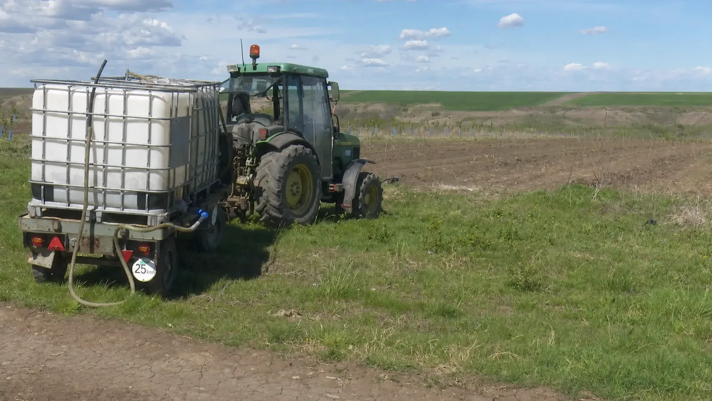 Tractorul fermei cu cisterna de stropit, pe drumul de pământ dintre parcele